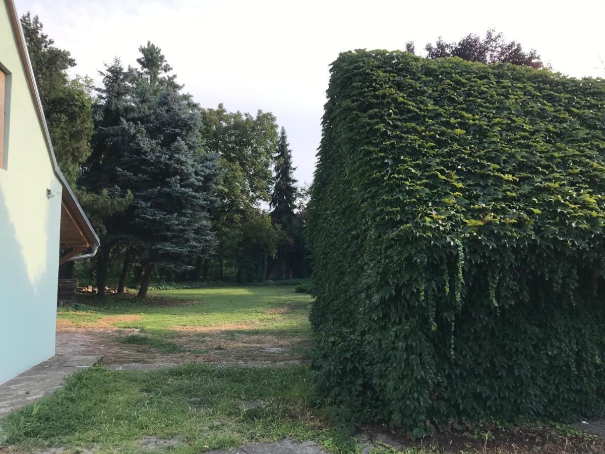 Pb Urban Garden Stay With Secured Parking Sremska Mitrovica Zewnętrze zdjęcie